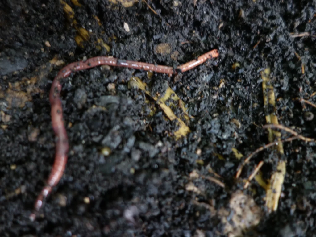 Klimafarmer Substrat