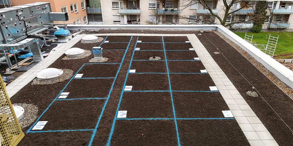 Die Gewobau Rüsselsheim setzt mit Hessens erstem Klimadach ein wegweisendes Projekt um.
