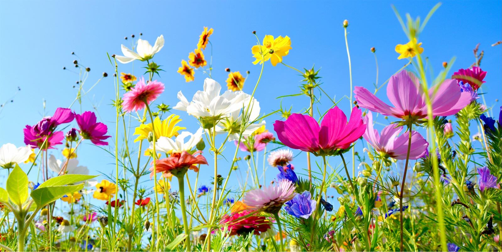 Mit klimafarmer in den Frühling starten!