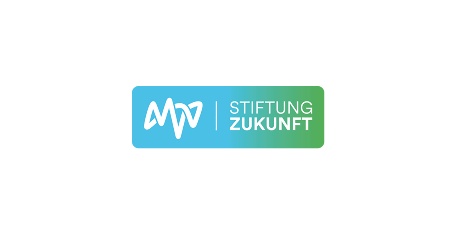 MVV Stiftung Zukunft
